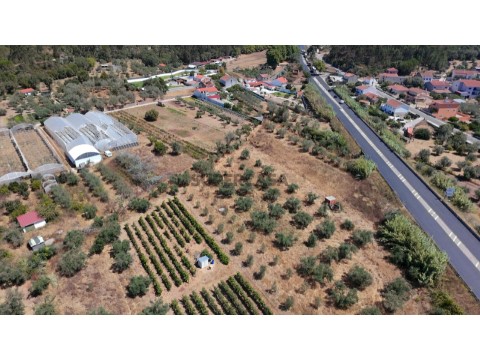 dji_fly_20260806_121310_0507_1786016138640_photo