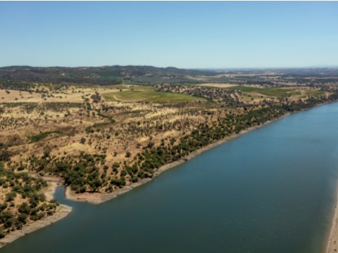 527 hectares farm in Alentejo-40