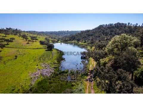 DJI_0239