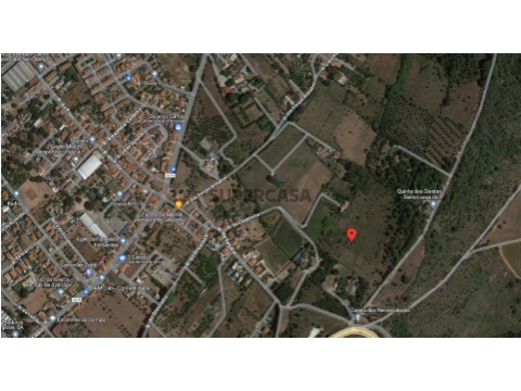 W142 - Terreno Agrícola com 60.000m2 em Azeitão | Wallis Real Estate