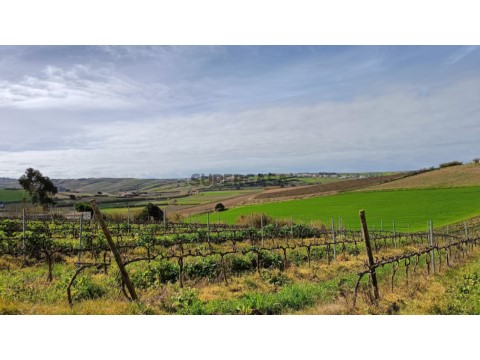 Moradia T4 Nova com vista deslumbrante de campo