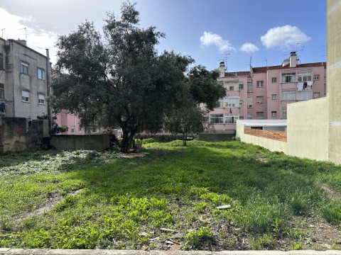 terreno