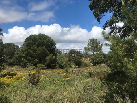 Terreno para construçao Alcantarilha