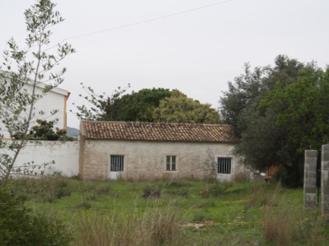 Terreno com Ruina em Falfosa, Santa Barbara de Nexe