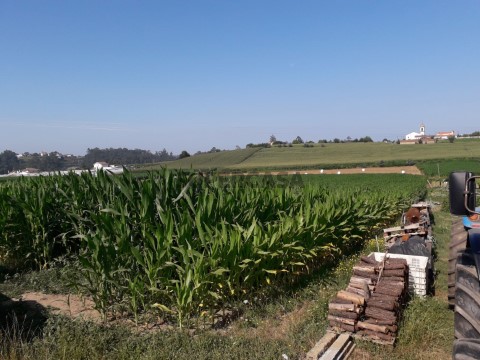 20190722_101037