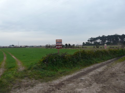REF AM 510, Terreno 001.JPG