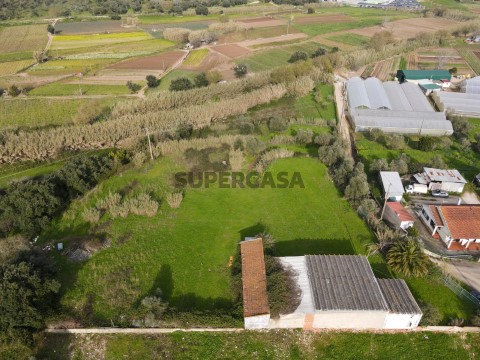 Terreno