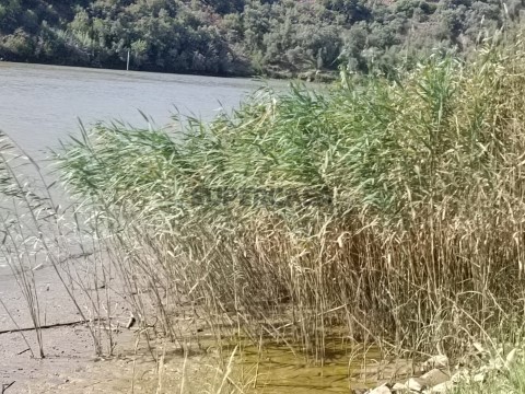 TR RIO GUADIANA