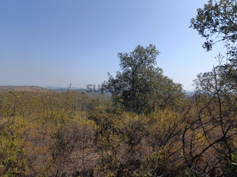TERRENO VISTA