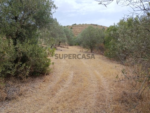 Terreno Rústico 640 m2-#Balurcos#Alcoutim#Pereiro#CASASDOSOTAVENTO (11)