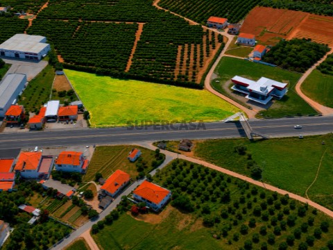 Terreno