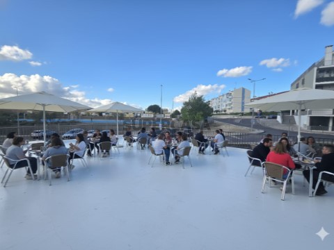 estudo virtual