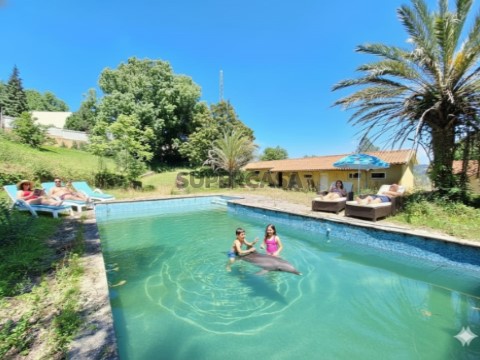Piscina - ilustração IA