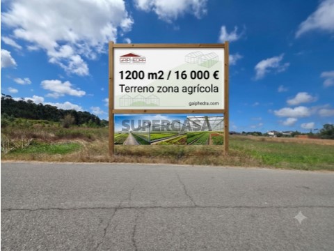 terreno Vagos