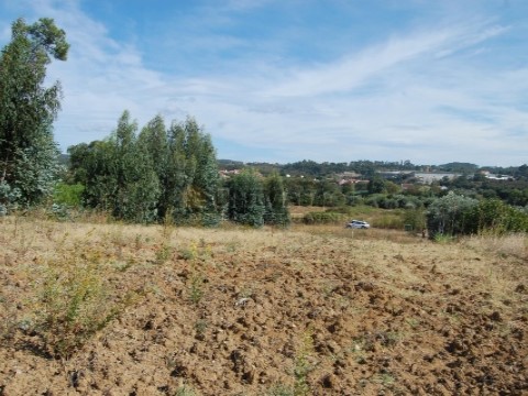 Terreno para venda a 7 km de Tomar