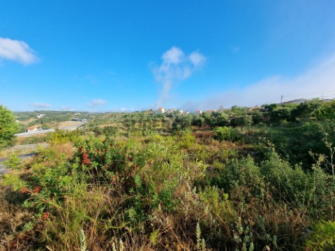 Terreno para construção, situado a 7 minutos da Cidade de Tomar.