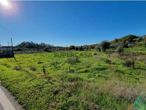 Terreno com viabilidade de construção, próximo de bons acessos, a 11km da Vila de Ferreira do Zêzere.