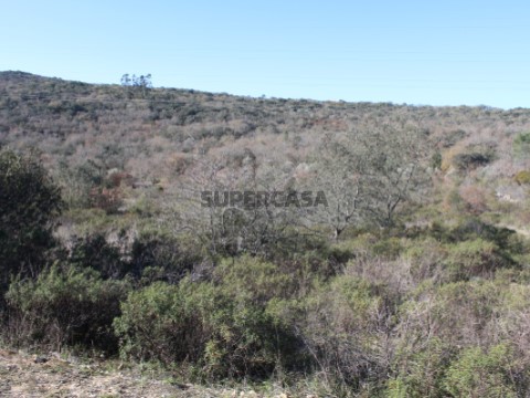 Terreno rústico com 13.960m2, a 3 km de Chãos.