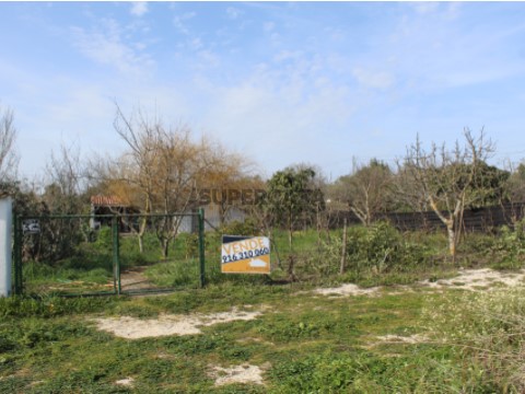 Terreno rústico com 3.060 m2 e churrasqueira, próximo da cidade de Tomar.