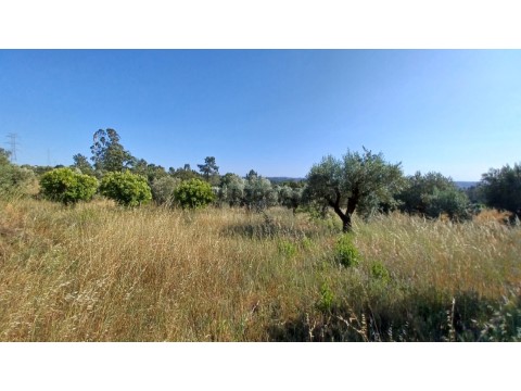 Terreno para construção com 976 m2 em zona calma.