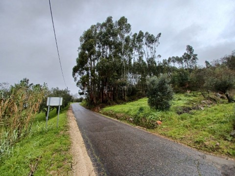Terreno com 1.560m2 situado perto de Areias.