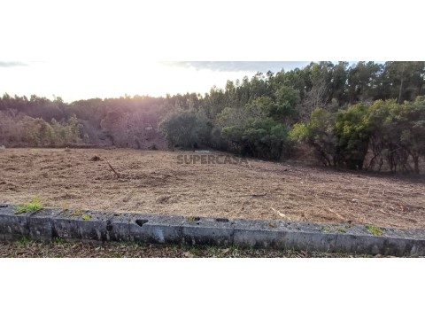 Lote de terreno para construção em zona tranquila em Cernache do Bonjardim.