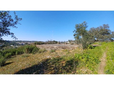 Terreno com projeto aprovado.