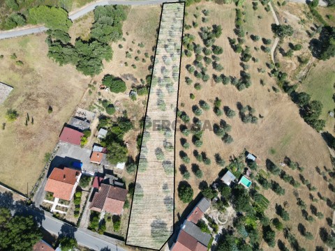 terreno para construção de moradia Madeira (17)