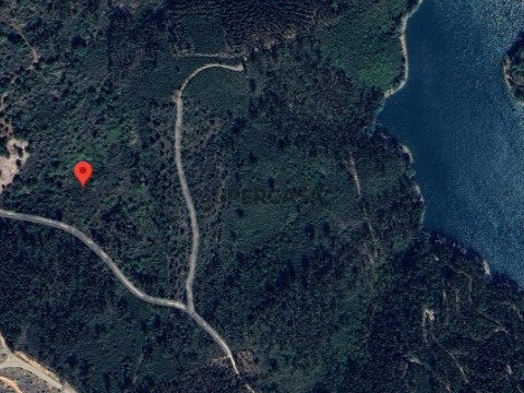 Terreno Rústico com 2.840 m² | Serra, Tomar