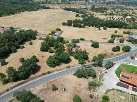 Quinta com casa e anexo para recuperar a 4 minutos de Tomar.