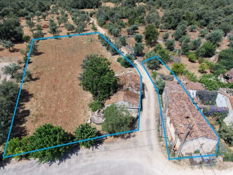 Casa e terreno avecasta