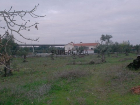 Terreno