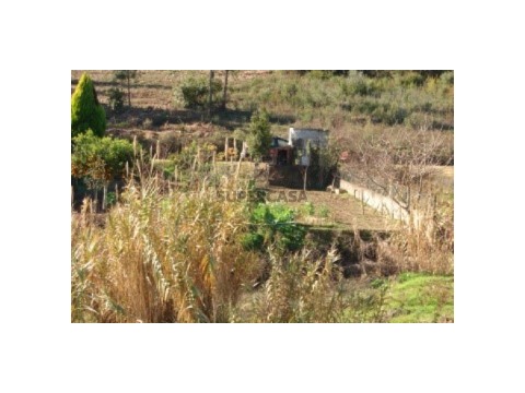 Terreno situado em espaço Florestal, próximo da Barragem de Castelo de Bode.