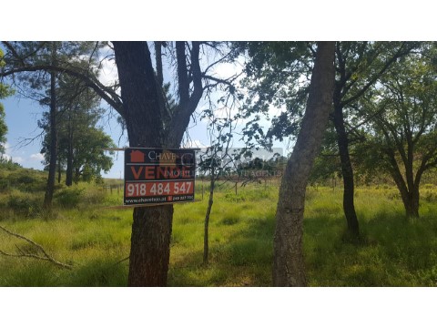 Dois terrenos para venda, a 4km de Tomar.