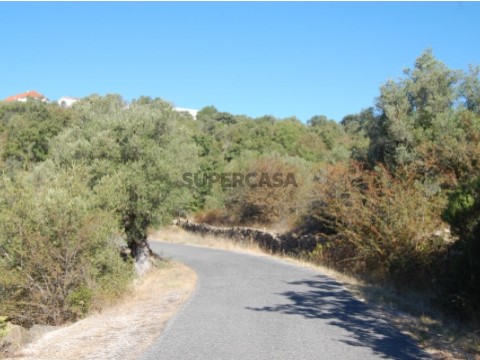 Terreno com 23.680 m2, a 12 km de Tomar