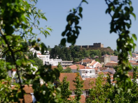 Terreno Alcobaça