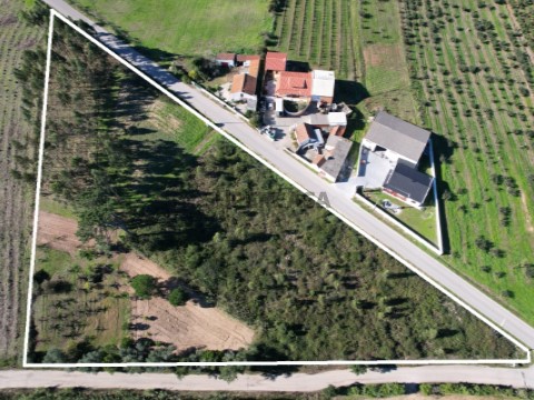 Terreno Urbanizável em Carvalhal