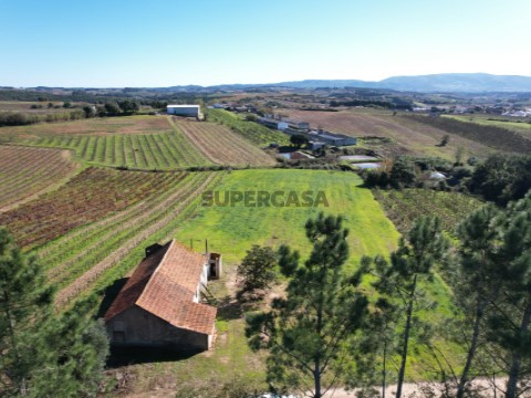 LOTE V