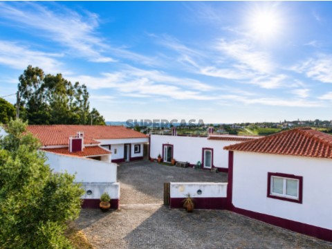 Moradia em Carvalhal com 6 hectares