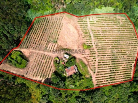 terreno delimitado