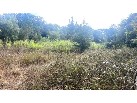 Terreno