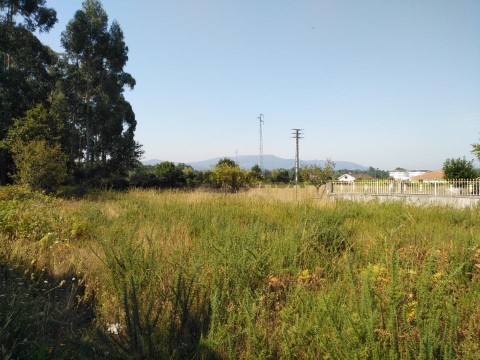 Terreno
