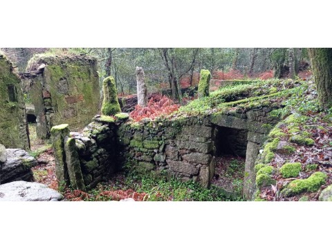 Ruina
