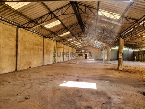 Armazém e Terreno Rústico em Anadia