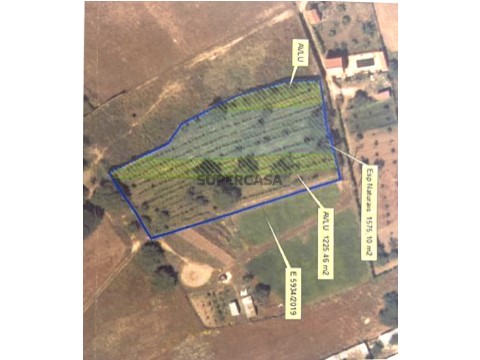 terreno1