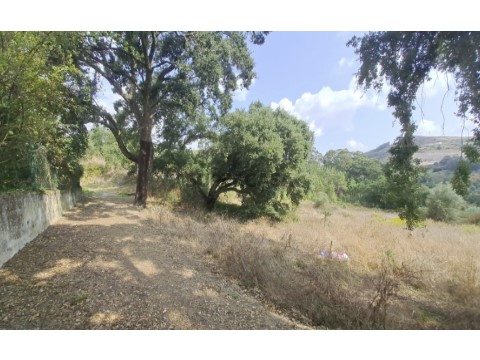 Terreno Loures Venda (4)