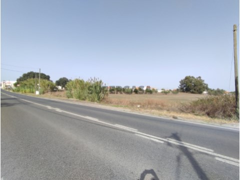 Vista frontal