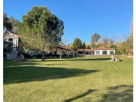 quinta 8