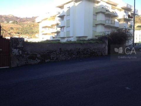 Lote em Lamego (Almacave e Sé), Lamego