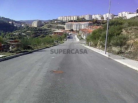 Lote em Lamego (Almacave e Sé), Lamego